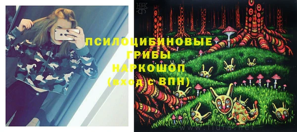 прущие грибы Ростов