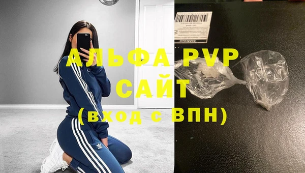 прущие грибы Ростов