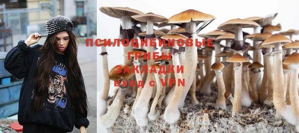 метадон Россошь