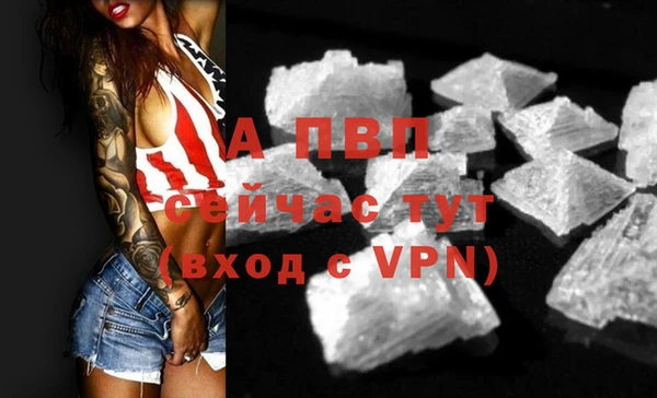 прущие грибы Ростов
