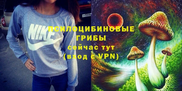 Альфа ПВП Верея