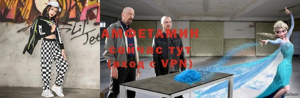 Альфа ПВП Верея